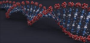 DNA